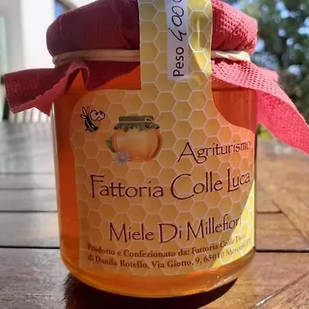مزرعة للإقامة Fattoria Colle Luca *