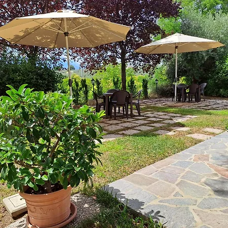 Fattoria Colle Luca